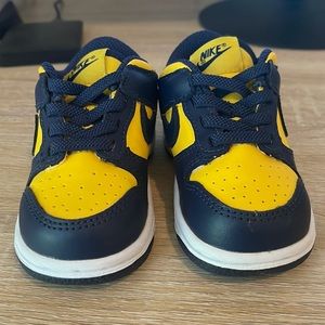 Toddler Nike Dunk Toddler 5c